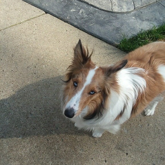 Meet your Posher, Kaitlyn - Picture 1 of 1